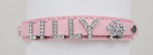Flick Cart | Pets-Lover Personalized Pet Name Collar – Custom Dog & Cat ID Collar